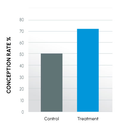 Figure 1 - Conception Rates in commercial cattle. Part of an animal study showing improved semen collection.