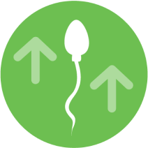 Higher sperm quality icon.